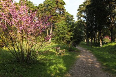 parquegiro