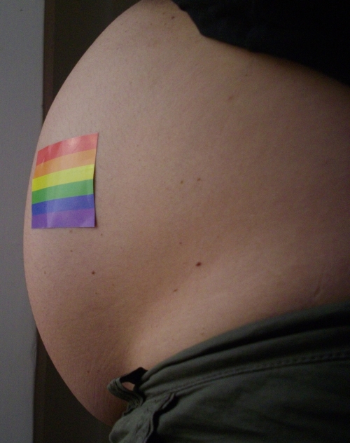 fam�lias s�o muitas e diversas
