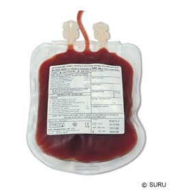 d�diva de sangue s� para alguns
